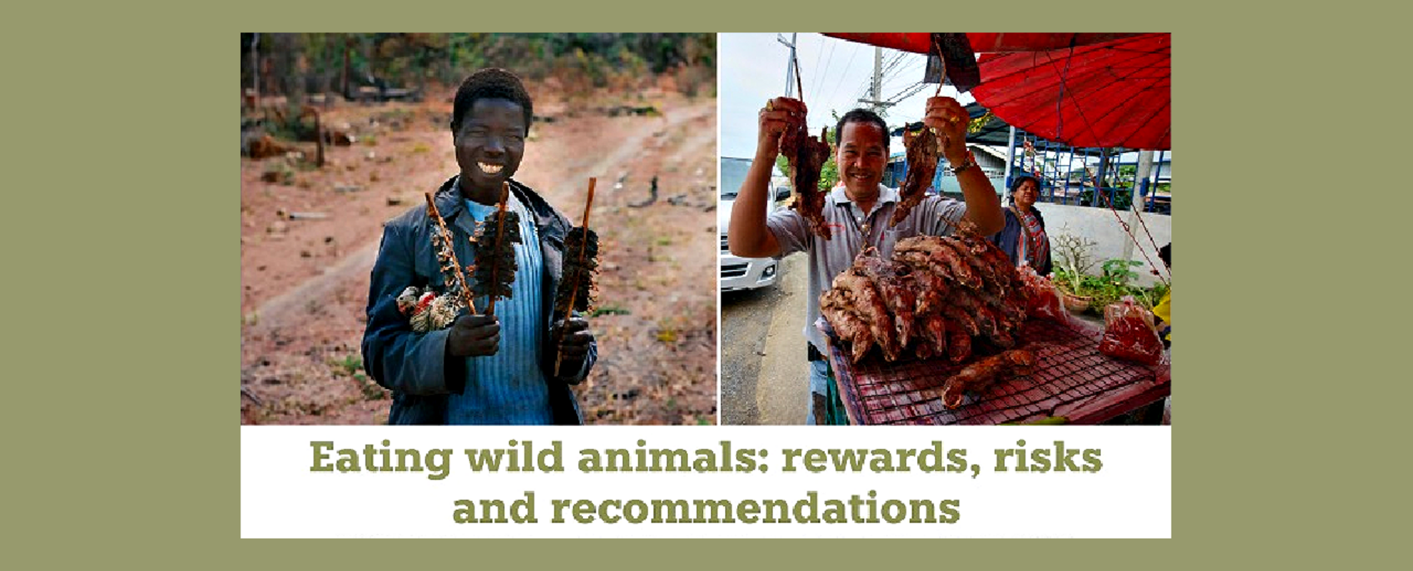 ILRI's 'Wild Meat' report launched