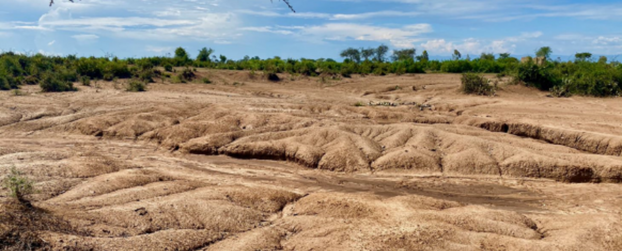 A degraded landscape in western Kenya