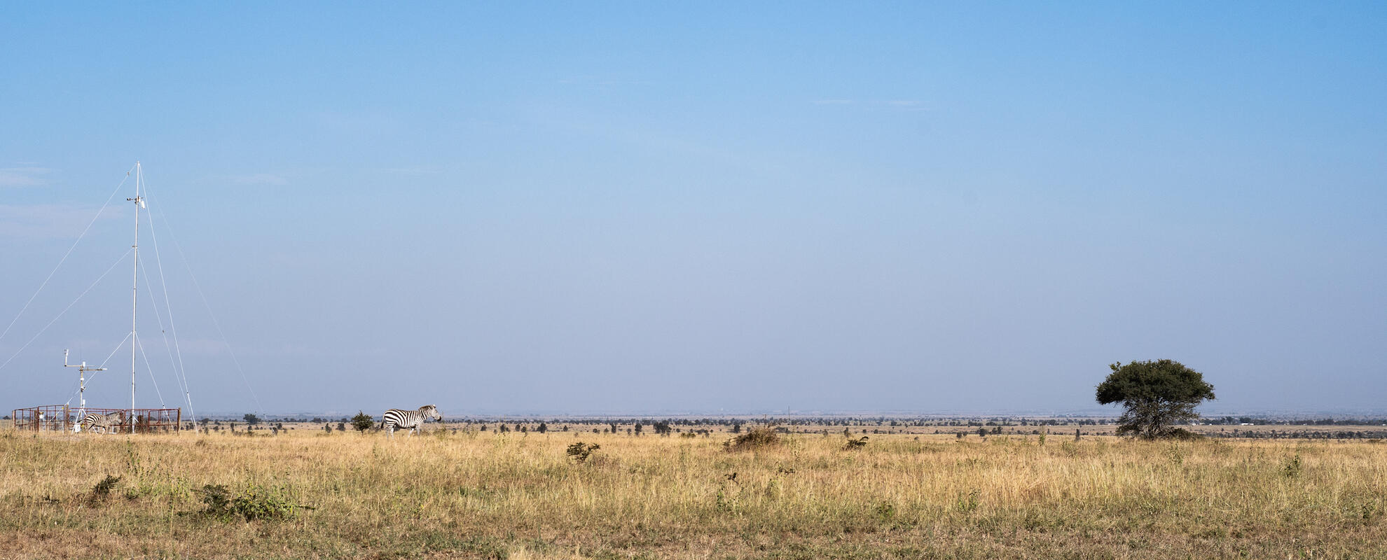 First continuous greenhouse gas measurements