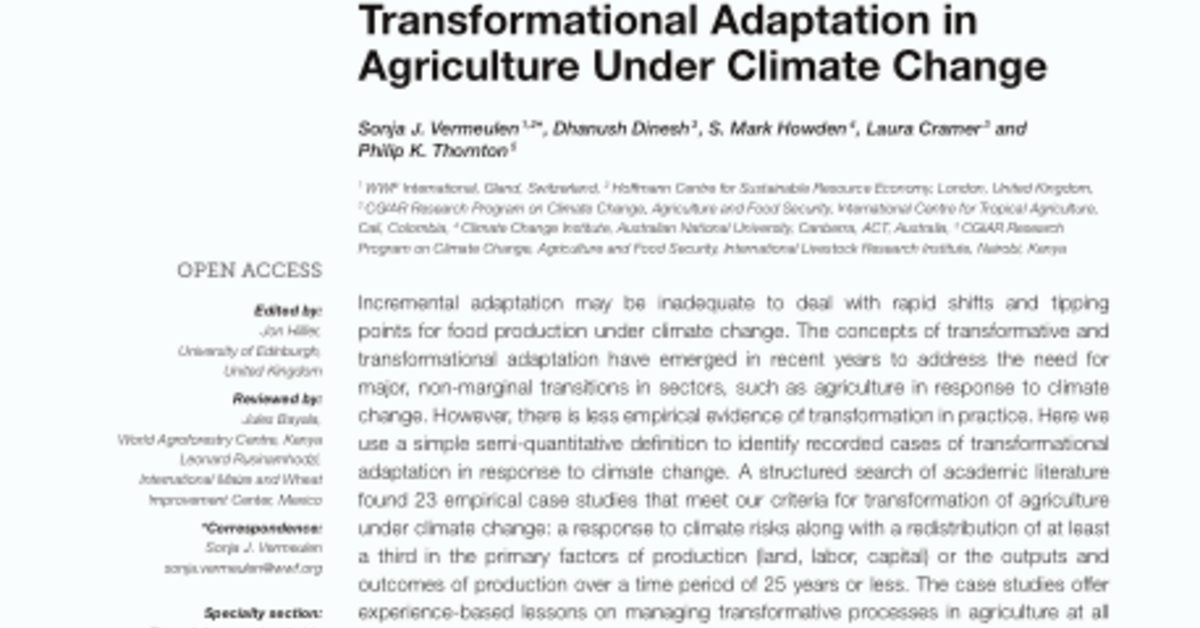 Transformation In Practice: A Review Of Empirical Cases Of ...