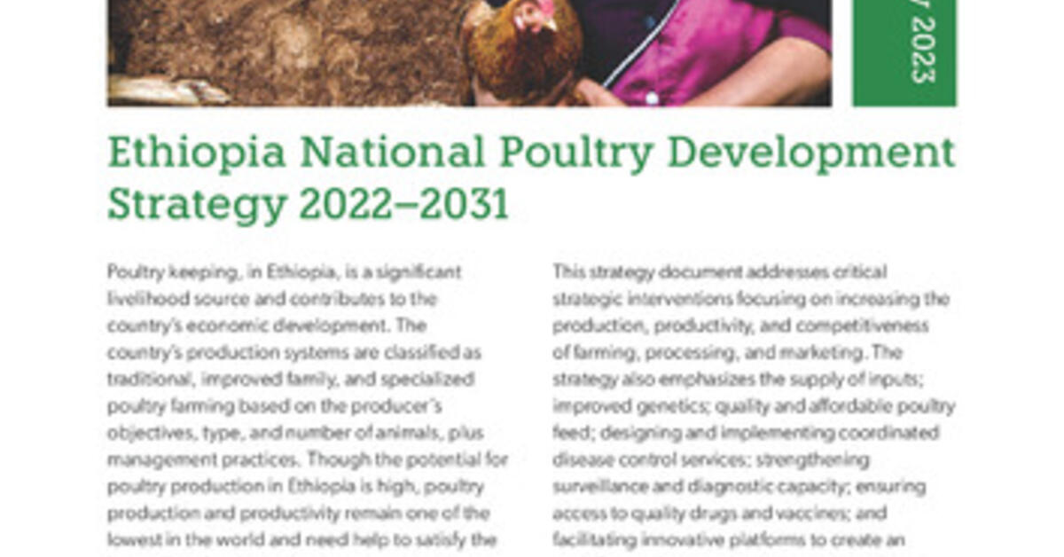 poultry business plan in ethiopia