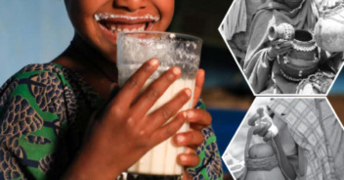 Ethiopia National Dairy Development Strategy 2022–2031