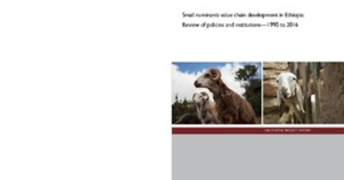 Small Ruminants Value Chain Development In Ethiopia: Review Of Policies ...