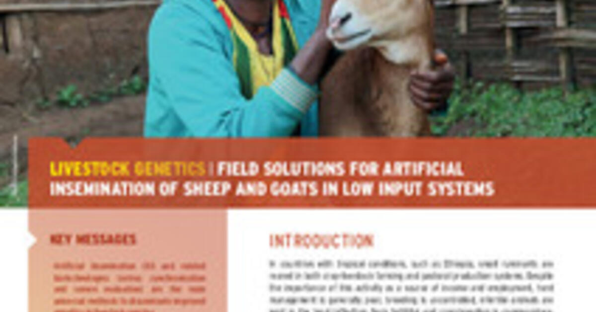 Field Solution For Artificial Insemination Of Sheep And Goats In Low