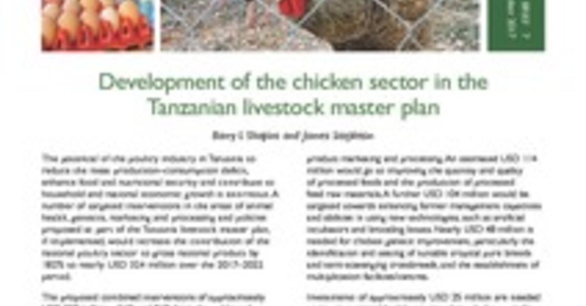 poultry business plan in tanzania