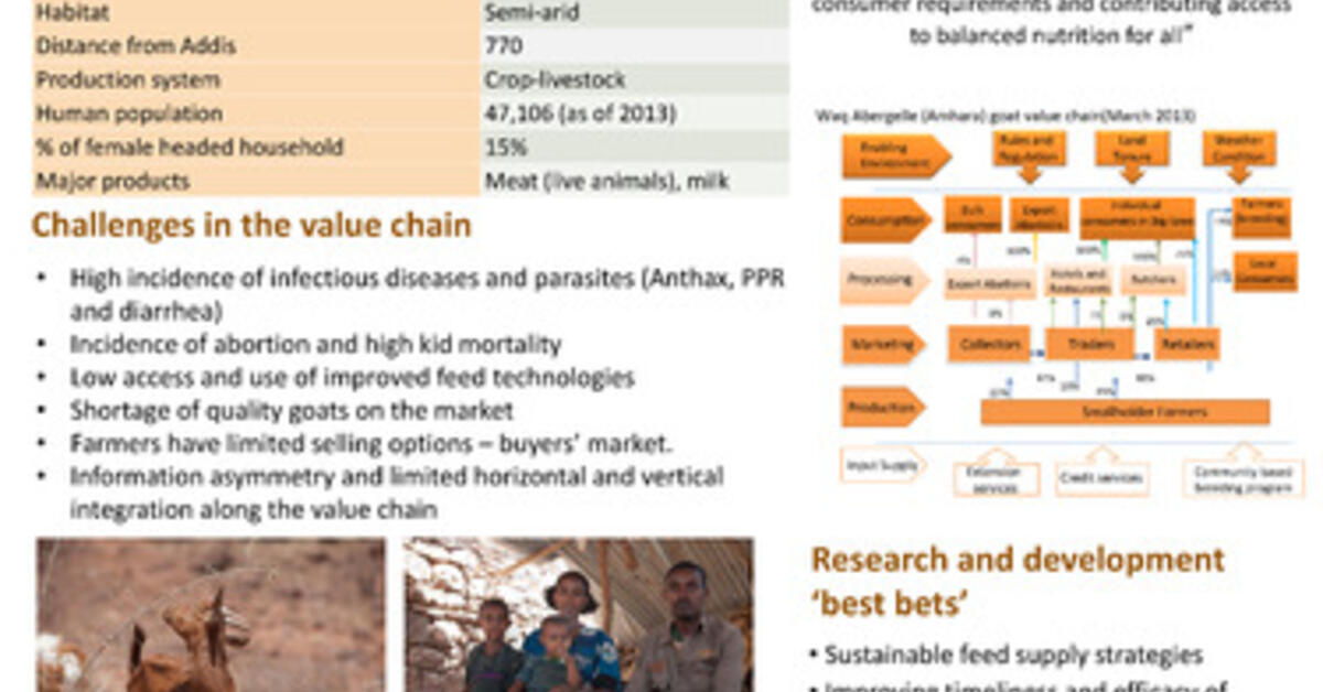 Small Ruminant Value Chain Development In Waq Abergelle, Ethiopia