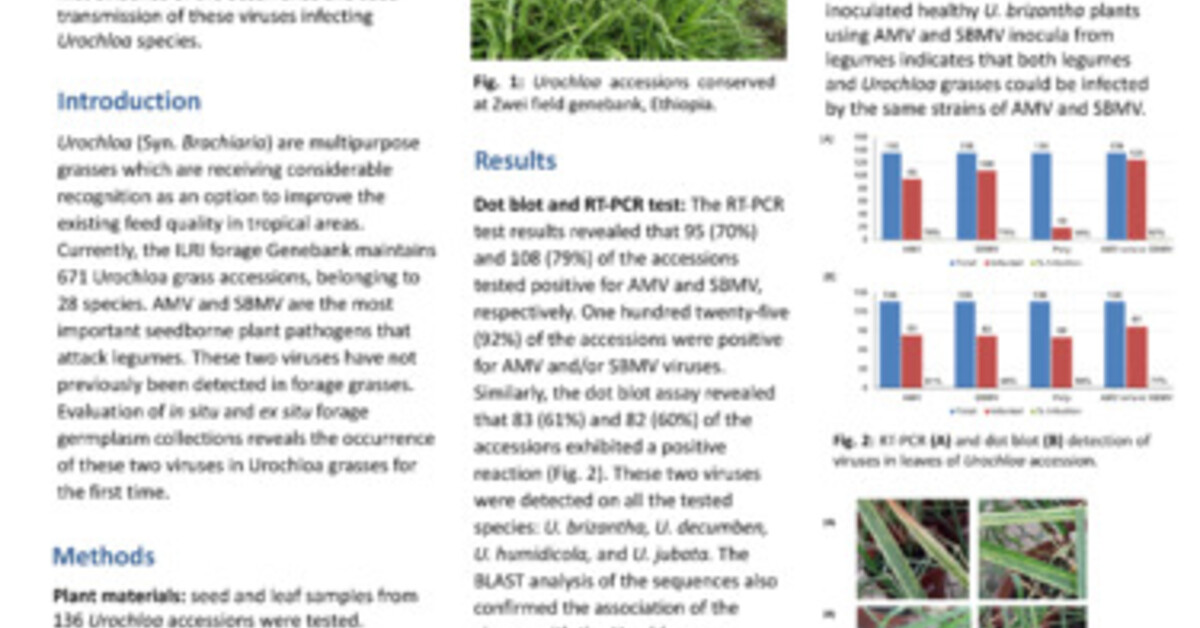 Evaluation of in situ and ex situ forage germplasm collections reveals ...